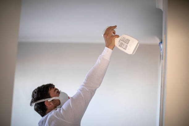 Best Emergency Mold Removal  in Snowflake, AZ